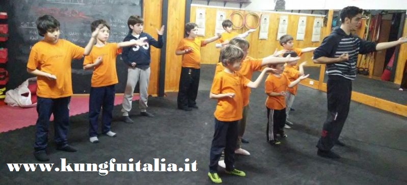 Kung Fu Caserta Italia Kung Fu per bambini, uomini e donne, accademia di arti marziali wing tjun, wing chun, tai chi, mma, muay thai, pilates www.kungfuitalia.it (1)